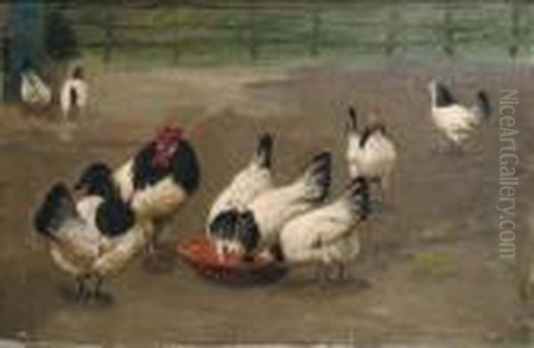 Chickens Feeding - view 1