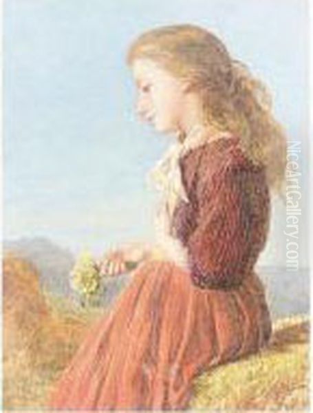 Primroses - view 1