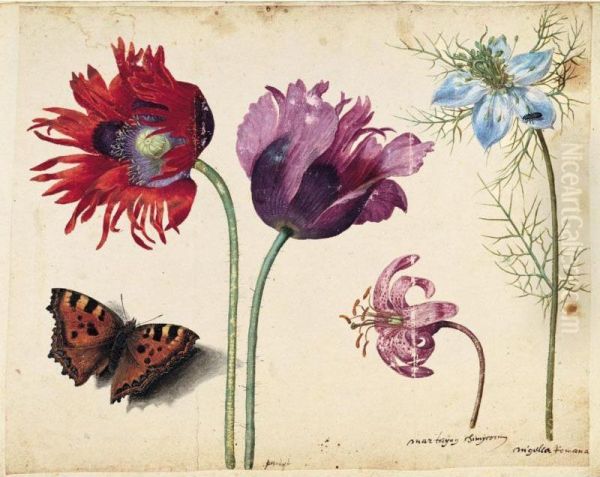A Sheet Of Flowers: Two Opium
Poppies, A Lily And A Love-in-a-mist, With A Beetle And A Tortoiseshell
Butterfly - view 1