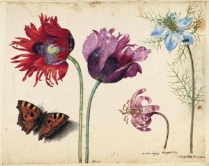 A Sheet Of Flowers: Two Opium
Poppies, A Lily And A Love-in-a-mist, With A Beetle And A Tortoiseshell
Butterfly by Jacques le Moyne de Morgues
