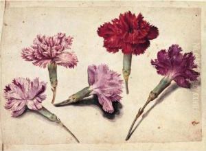 A Sheet Of Studies With Five Clove Pinks by Jacques le Moyne de Morgues