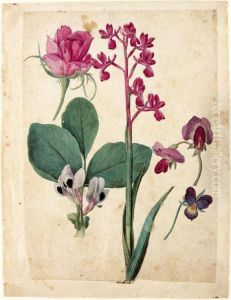 A Sheet Of Studies Of Flowers: A
Rose, A Heartsease, A Sweet Pea, A Garden Pea And A Lax-flowered Orchid by Jacques le Moyne de Morgues