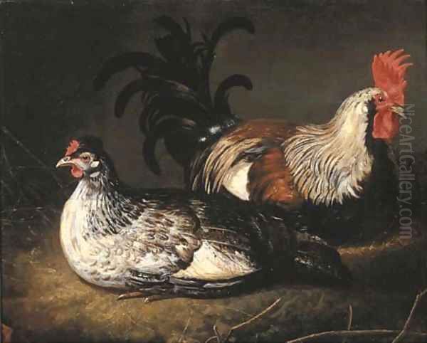 A cockerel and a hen - view 1
