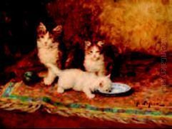 Chatons Et Assiette De Lait - view 1