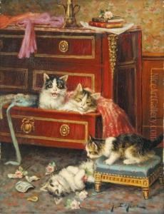 Chatons Turbulents