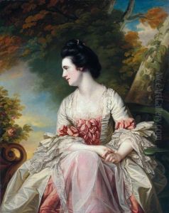 Portrait of a lady by Francis Cotes