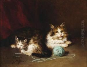Deux Chats Et Pelote De Laine Bleue
