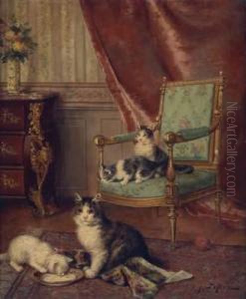 Les Chatons - view 1