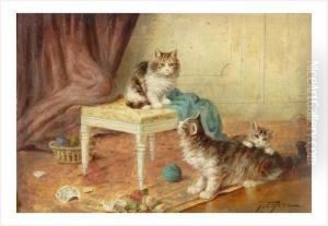 Les Chatons Et Le Vase Brise by Jules Le Roy