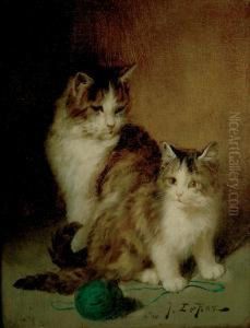Chatte Et Son Petit Chatte Et Son Petit