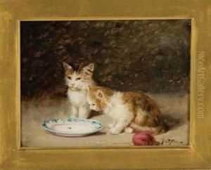 A Fly In The Milk by Jules Le Roy