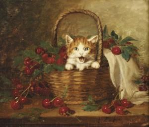 Chatons Au Panier De Cerises