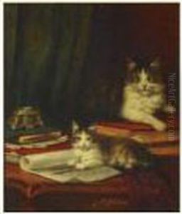 Deux Chats Jouant Sur Un Bureau
