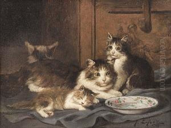 Kittens - view 1