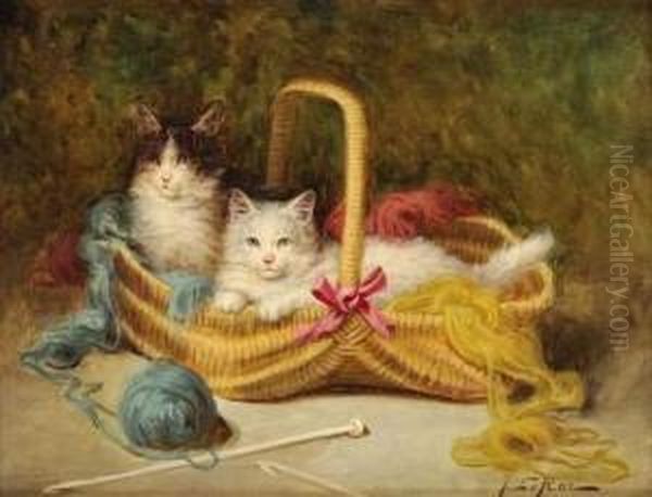 Chatons Dans Un Panier - view 1