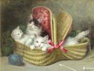 A Basket Of Kittens