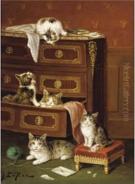 Musical Kittens; A New Hiding Place - view 1