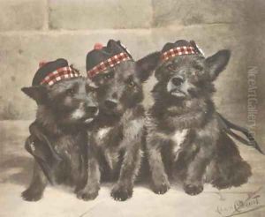 Scots tried and true by Lilian Cheviot