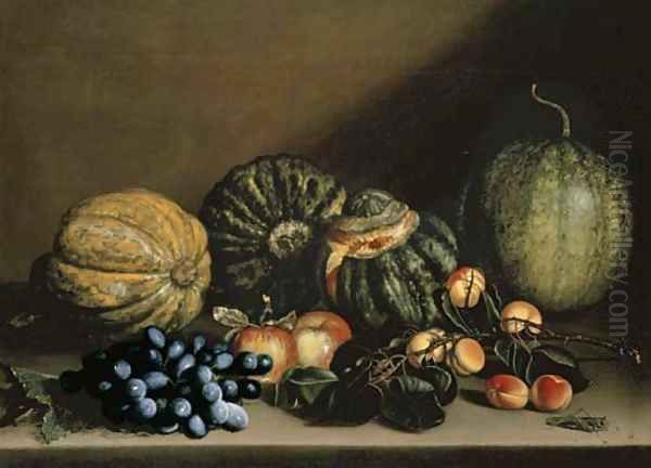 Melons, apricots, grapes and apples on a stone ledge - view 1