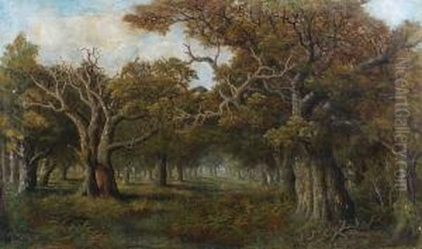 A Woodland Clearing - view 1