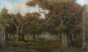 A Woodland Clearing by Charles Leaver
