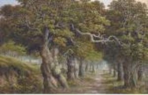 The Forest Track by Charles Leaver