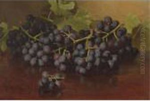 Grapes Grapes