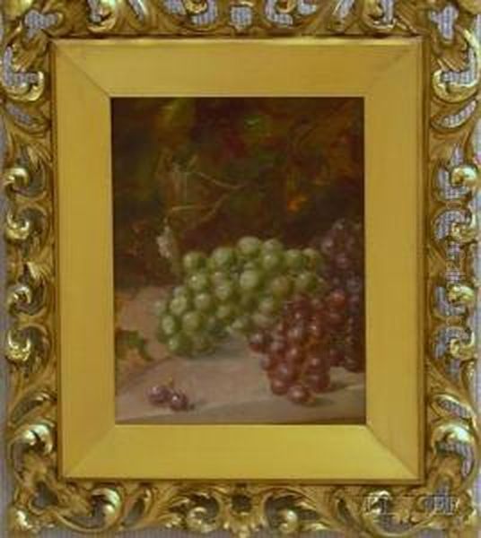 Still Life With Grapes - view 1