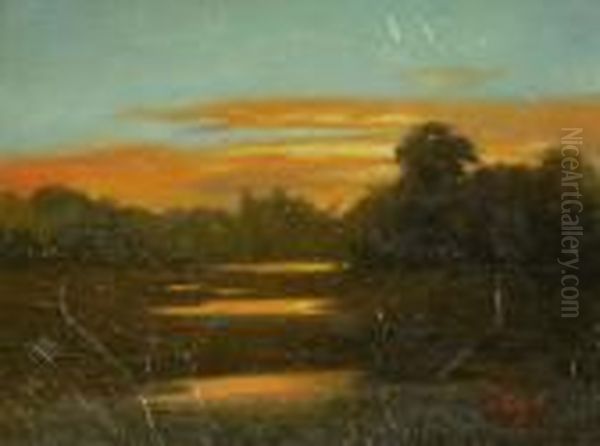 Luminous Marsh Scene - view 1