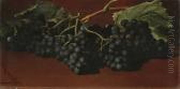 Grapes - view 1