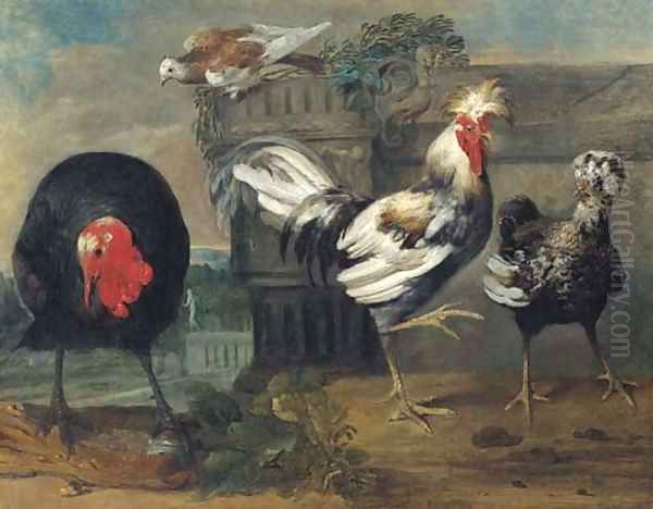 Two crested chickens, a turkey and a dove in an architectural landscape - view 1
