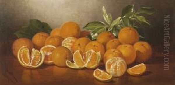 Still Life Withoranges - view 1