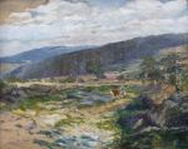 Krajina - view 1