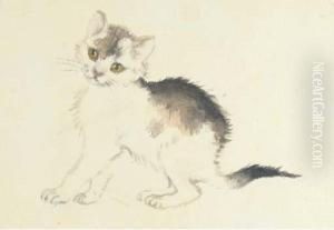 A Cat; And A Lamp And A Samovar