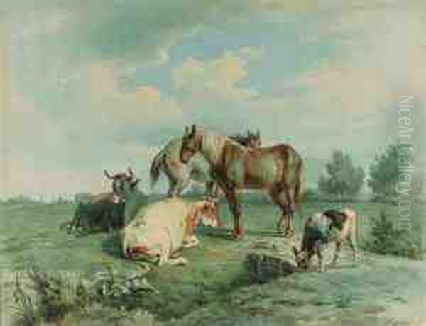 Cattle In A Sunlit Meadow - view 1