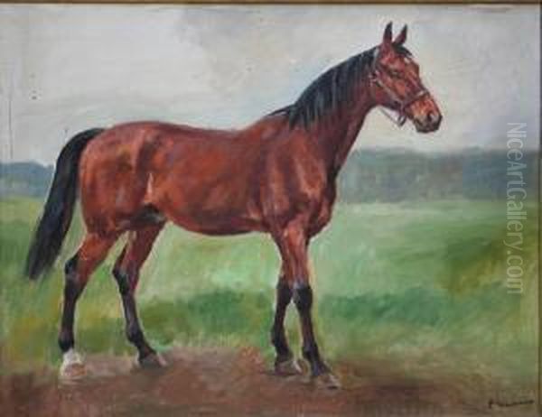 Portrait De Cheval - view 1