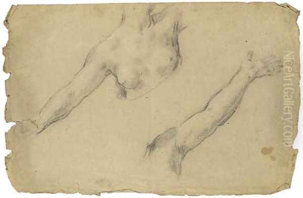 Study of the torso and outstretched right arm of a female nude - view 1