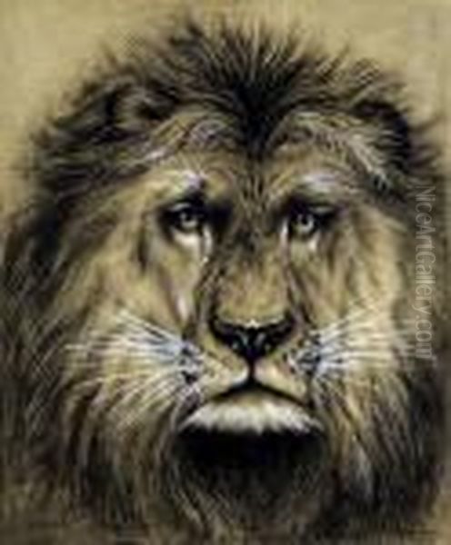Le Lion - view 1