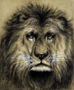 Le Lion