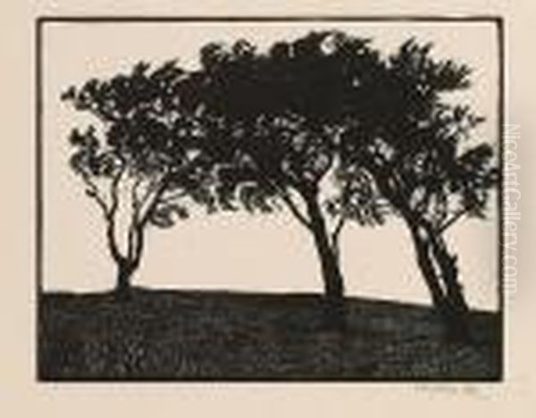 The Top Of The Hill - view 1