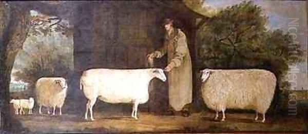 A Shepherd with his Flock - view 1