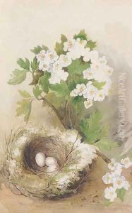 A birds' nest and a sprig of apple blossom by Robert Cruickshank