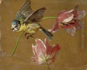 A study of two tulips and a bluebird by Alexandre-Francois Desportes Champigneule