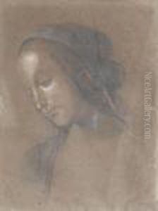 Testa Di Madonna Da Perugino