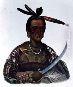 To Ka Cou a Yankton Sioux Chief To Ka Cou a Yankton Sioux Chief
