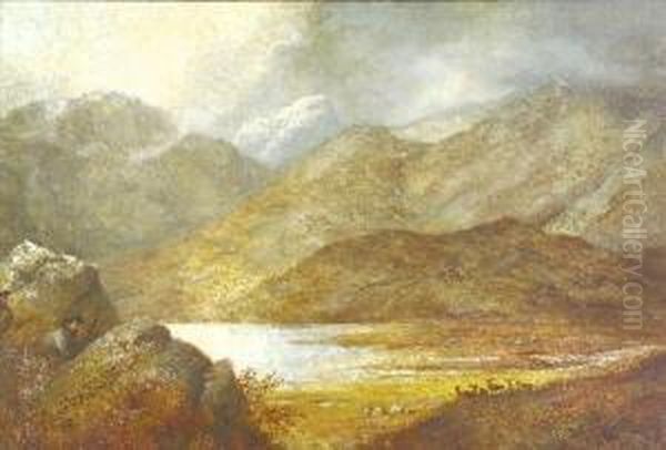 Dundonnell Forest, Westeross, Scotland - view 1
