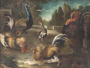 Cockerels, a peacock and turkey in a garden landscape