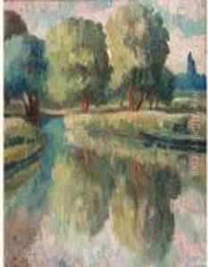 Arbres Au Bord De L'eau