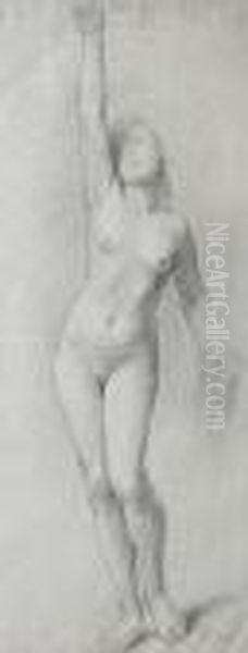 Female Nude - view 1