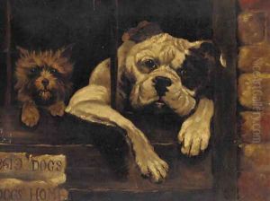 Dogs home by Margaret Collyer